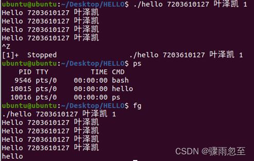 cs从计算机系统的角度分析程序的一生